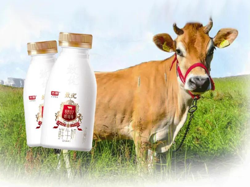 中国人适合喝的奶,哪个牌子的牛奶才是真正的纯牛奶
