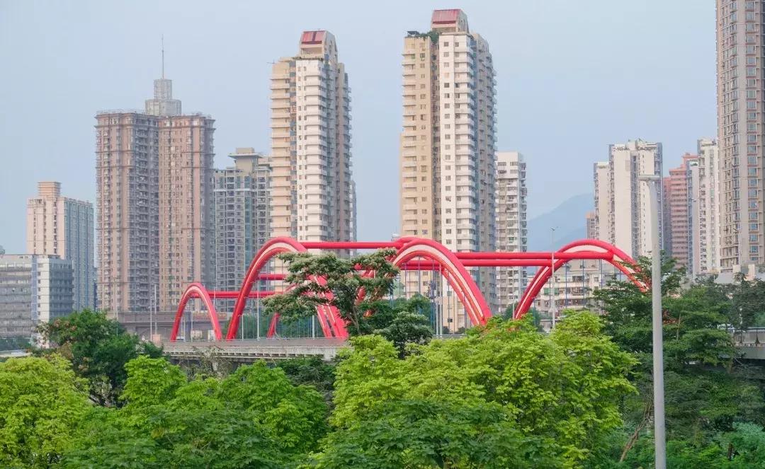 公社笋岗,万象笋岗