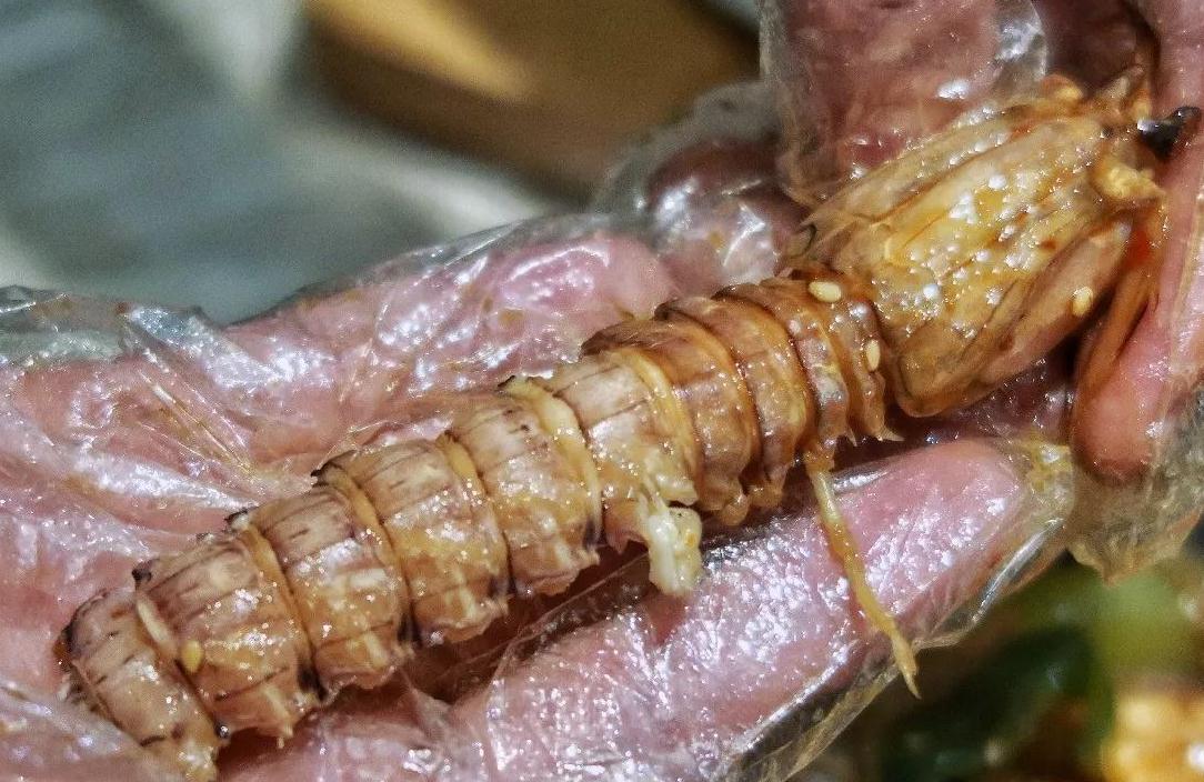 皮皮虾壳上的小孔,快速找到拉链剥皮皮虾视频