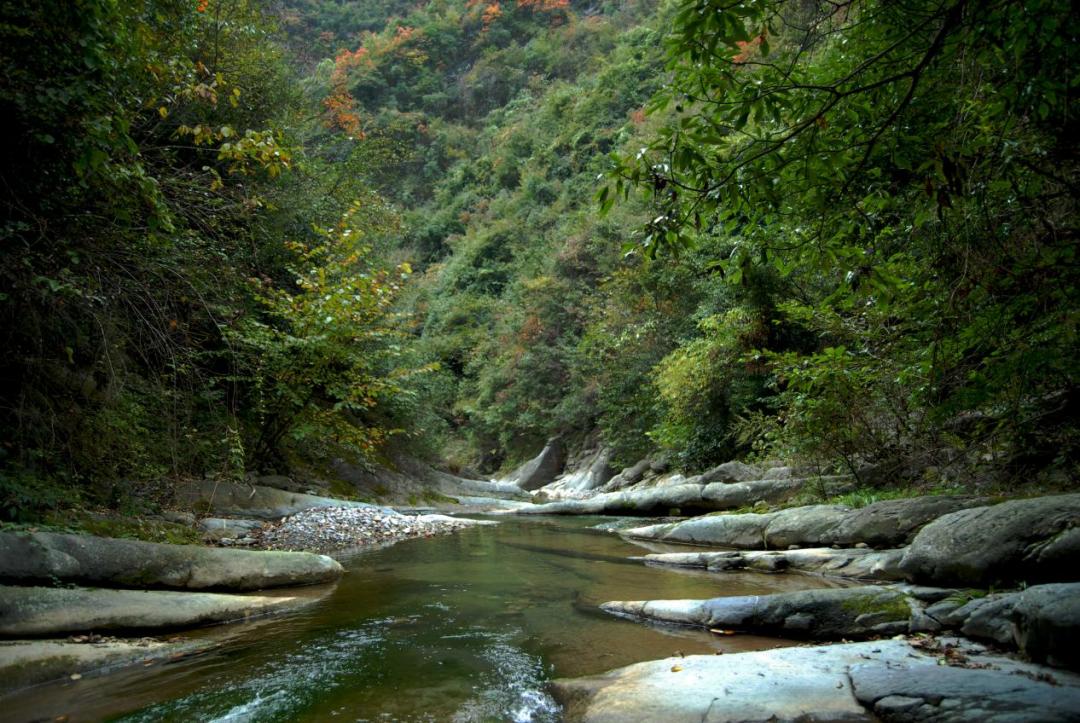 放假了，就去旬阳羊山吸氧、养心，洋洋自得拍“抖音”吧！