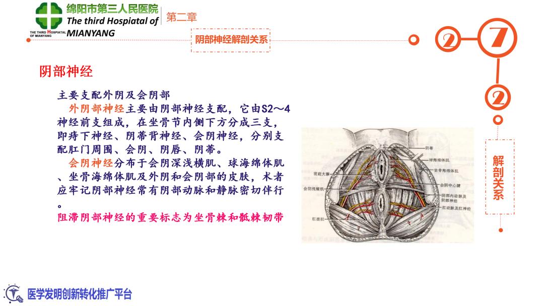 会阴阻滞麻醉操作流程,会阴阻滞麻醉操作方法