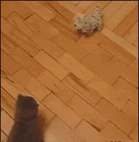 让你心动的搞笑图片,搞笑gif笑死人的动图