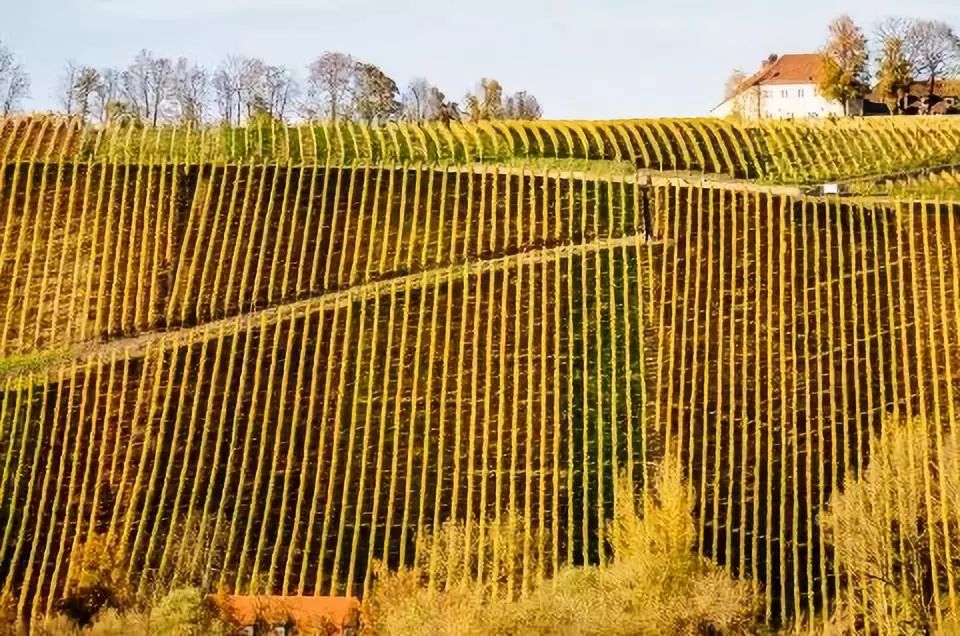 欣赏生活中的旋转之美,生活中的几何原理