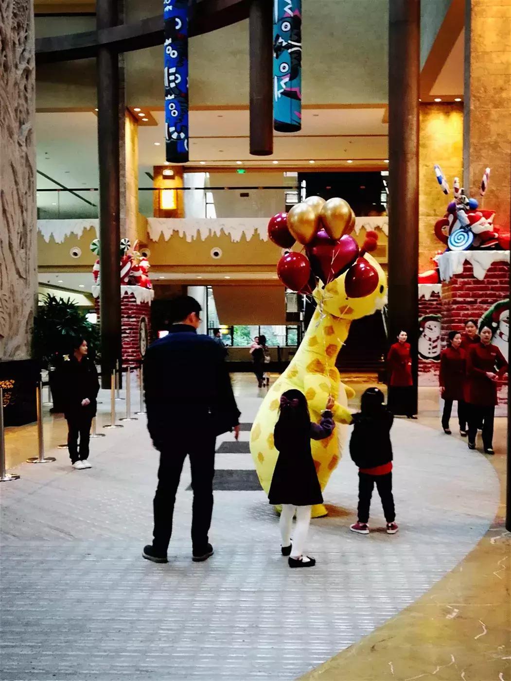 去广州长隆动物园怎么玩划算,广州长隆动物园一天最全游玩攻略