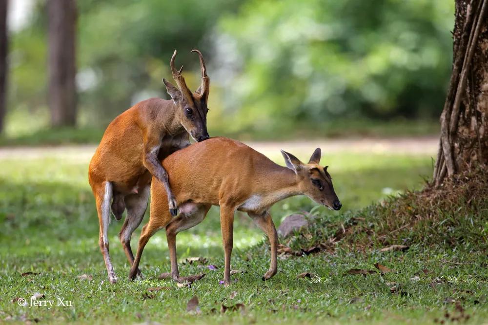 情人节,就该和爱的人*爱做**做的事