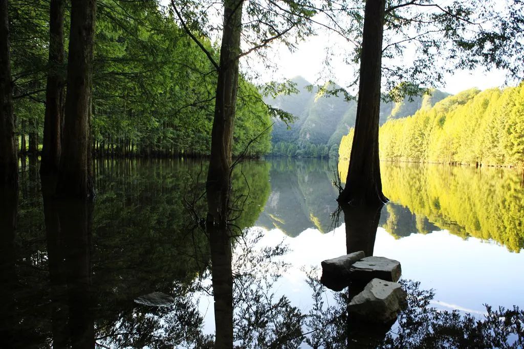 汉中龙池湖攻略,汉中龙池湖简介