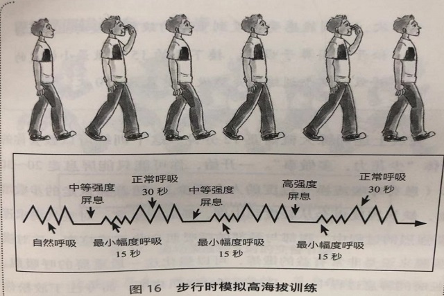 如何通过呼吸锻炼心肺,运动正确的呼吸模式