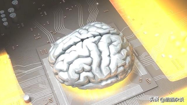 人脑左脑右脑功能,意识产生于大脑哪个部位