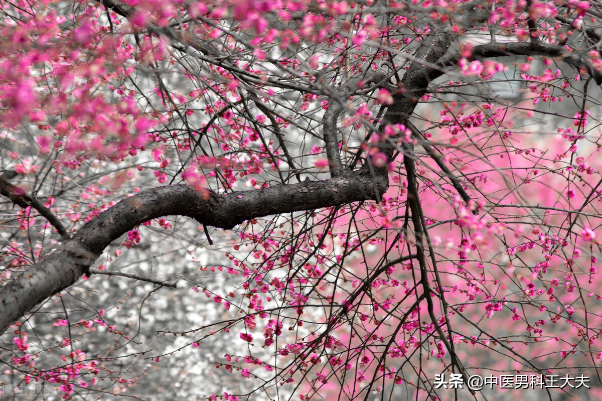 肾阴虚湿热该怎么办,肾阳虚肾精亏虚湿热比较重