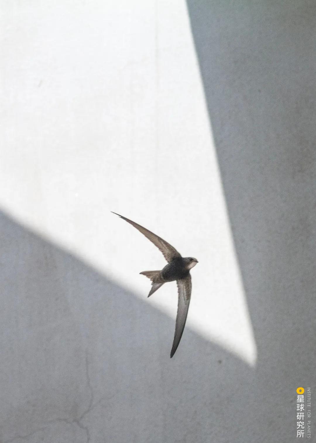 林草领域知识图谱,林草科普专业术语