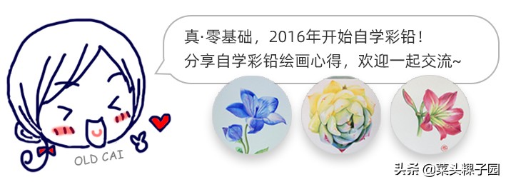 飞乐鸟彩铅人物教学,飞乐鸟彩铅测评