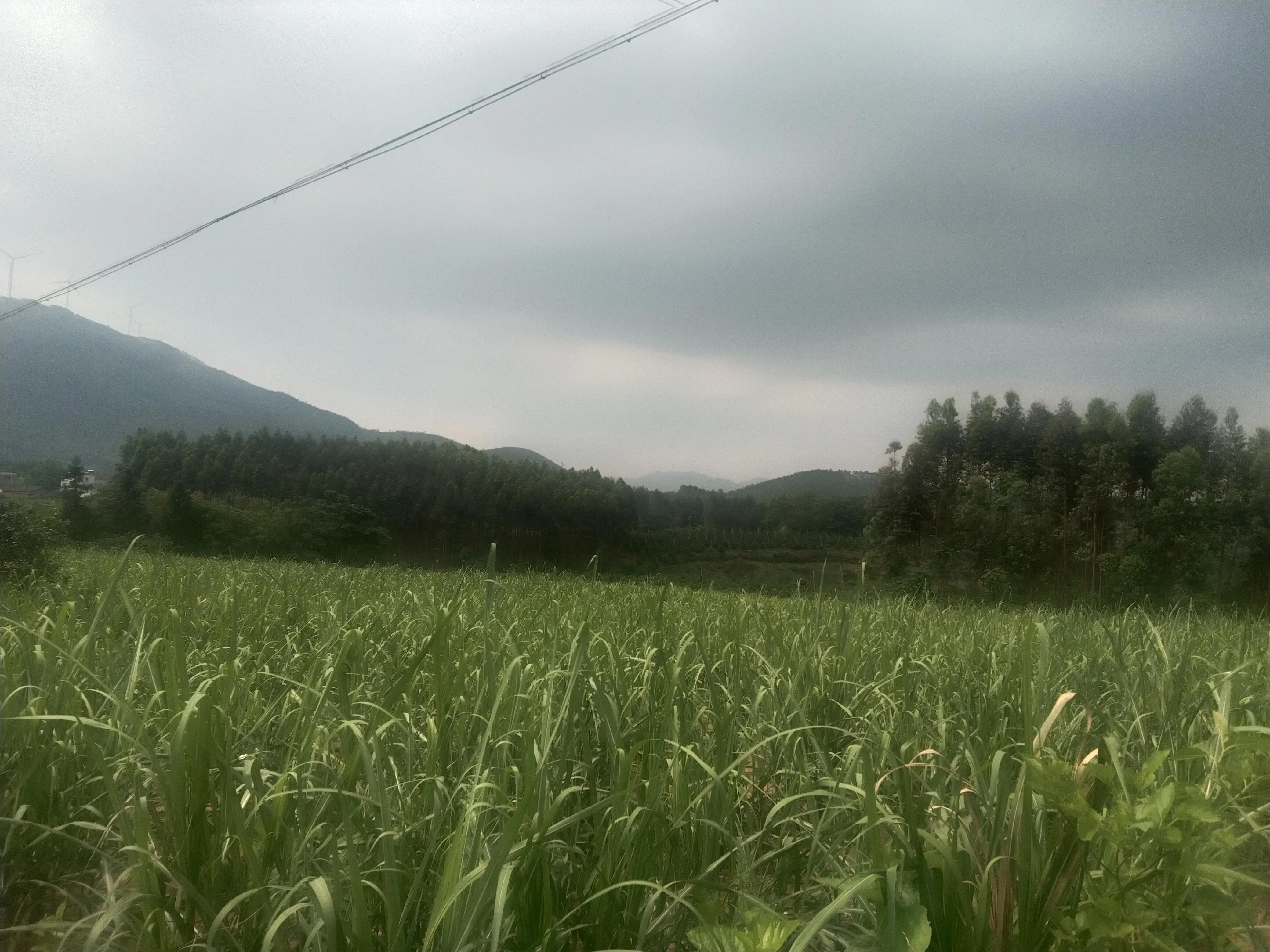 翱翔蓝天的无人机,翱翔蓝天下的大疆无人机