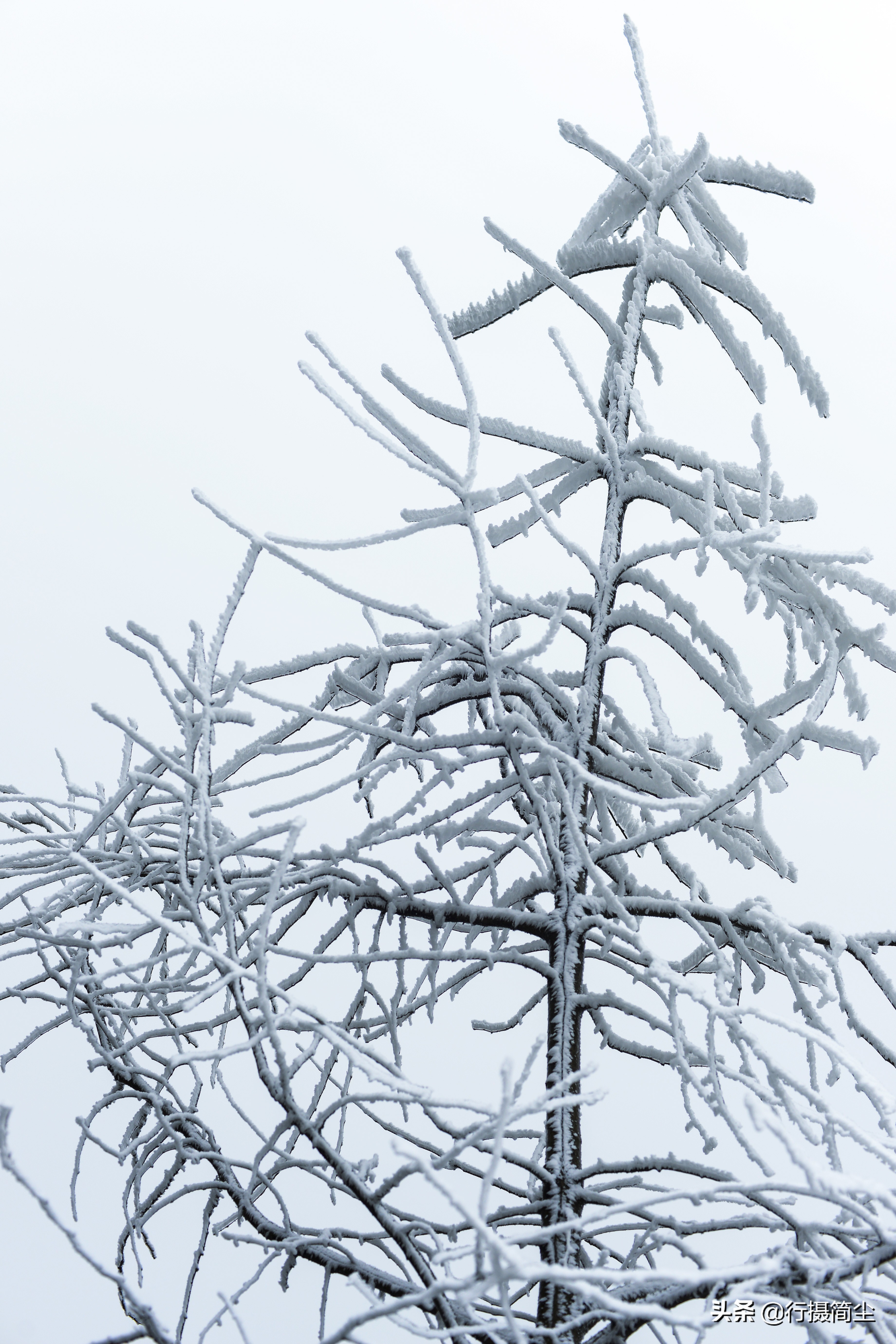 华蓥山宝鼎雪景航拍,华蓥山宝鼎冬天看日出