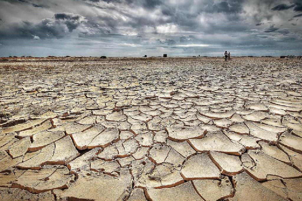 骆驼群里混进“间谍”，暴露位置引来猎手*杀屠**，4年已经被灭16万