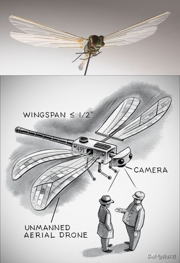 1974年美国如何用“蜻蜓”*听窃**，中情局CIA间谍器材解密