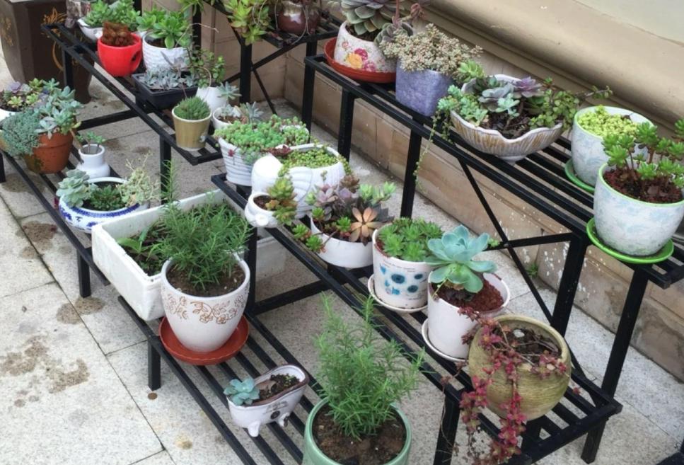 蚊香杀虫剂可以消灭花上的虫卵吗,蚊香灭小苍蝇怎么消灭最彻底