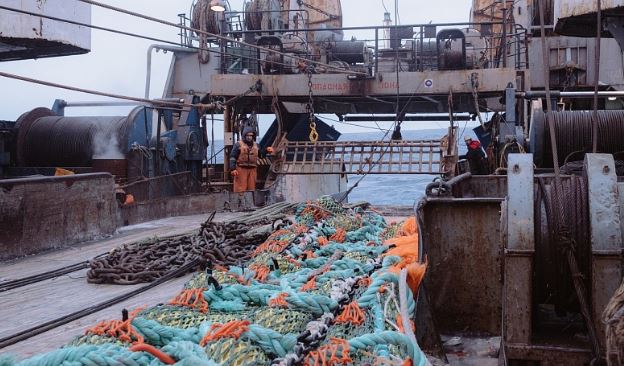 绕开中国工厂，运送1000多个集装箱，俄罗斯凭什么吃定明太鱼？