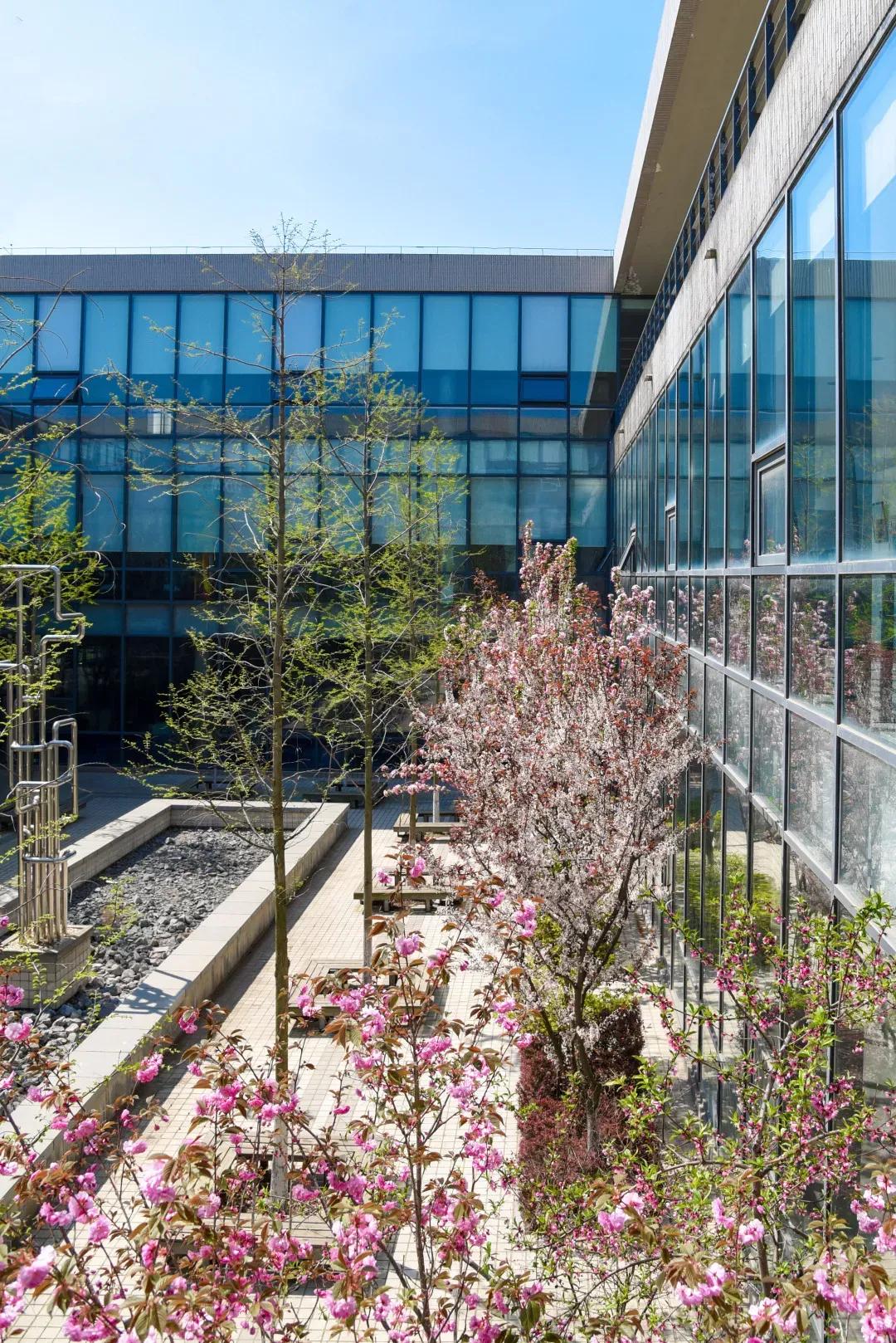 辽宁大学和鲁迅美术学院,辽宁省鲁迅美术学院是985吗