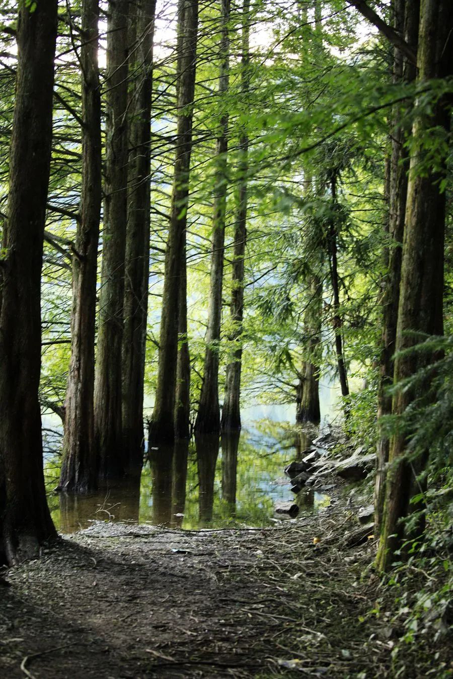 汉中龙池湖攻略,汉中龙池湖简介