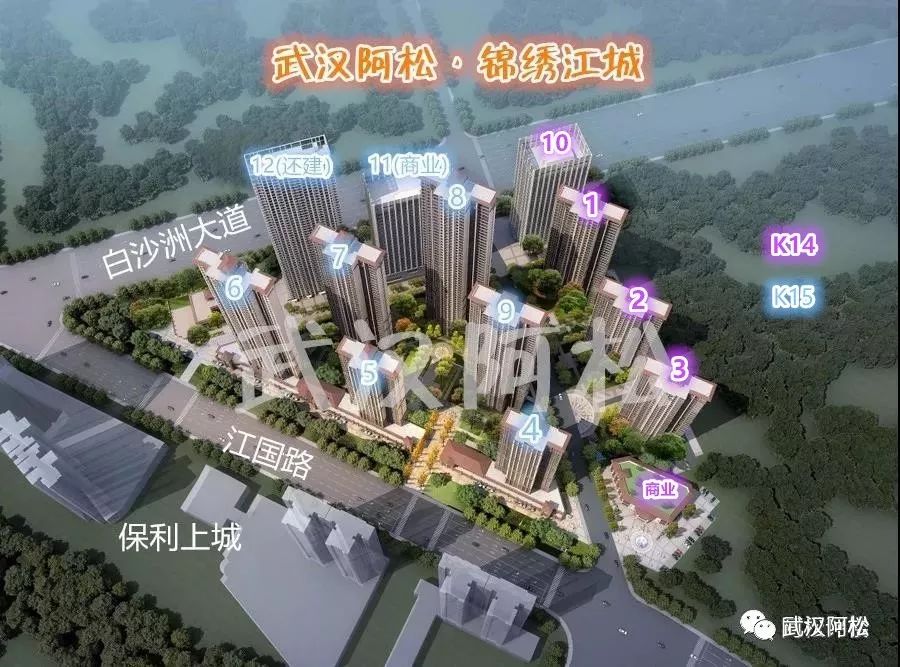 白沙洲新楼盘排行榜2020,白沙洲最火盘