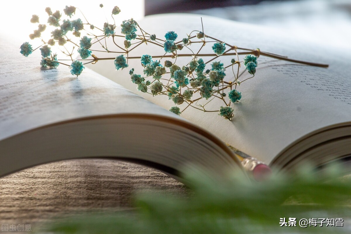 不慌不忙,一步一步走向自律