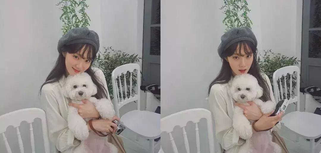 适合过年染的绝美发色显白,过年必染的高级显白发色