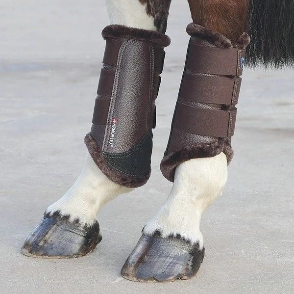 马匹用具介绍,马匹种类介绍