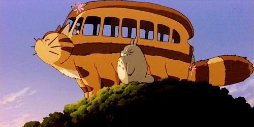 周末喵力四射！国际品猫汇，来吸猫！卢米埃影城18元看龙猫！