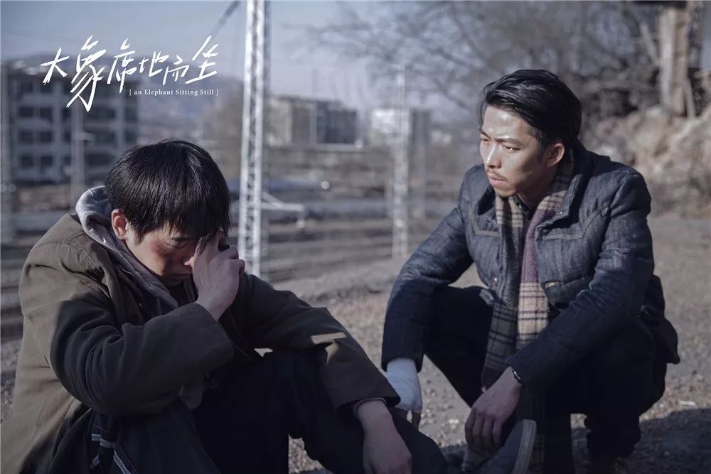 大象席地而坐有人说话,大象席地而坐