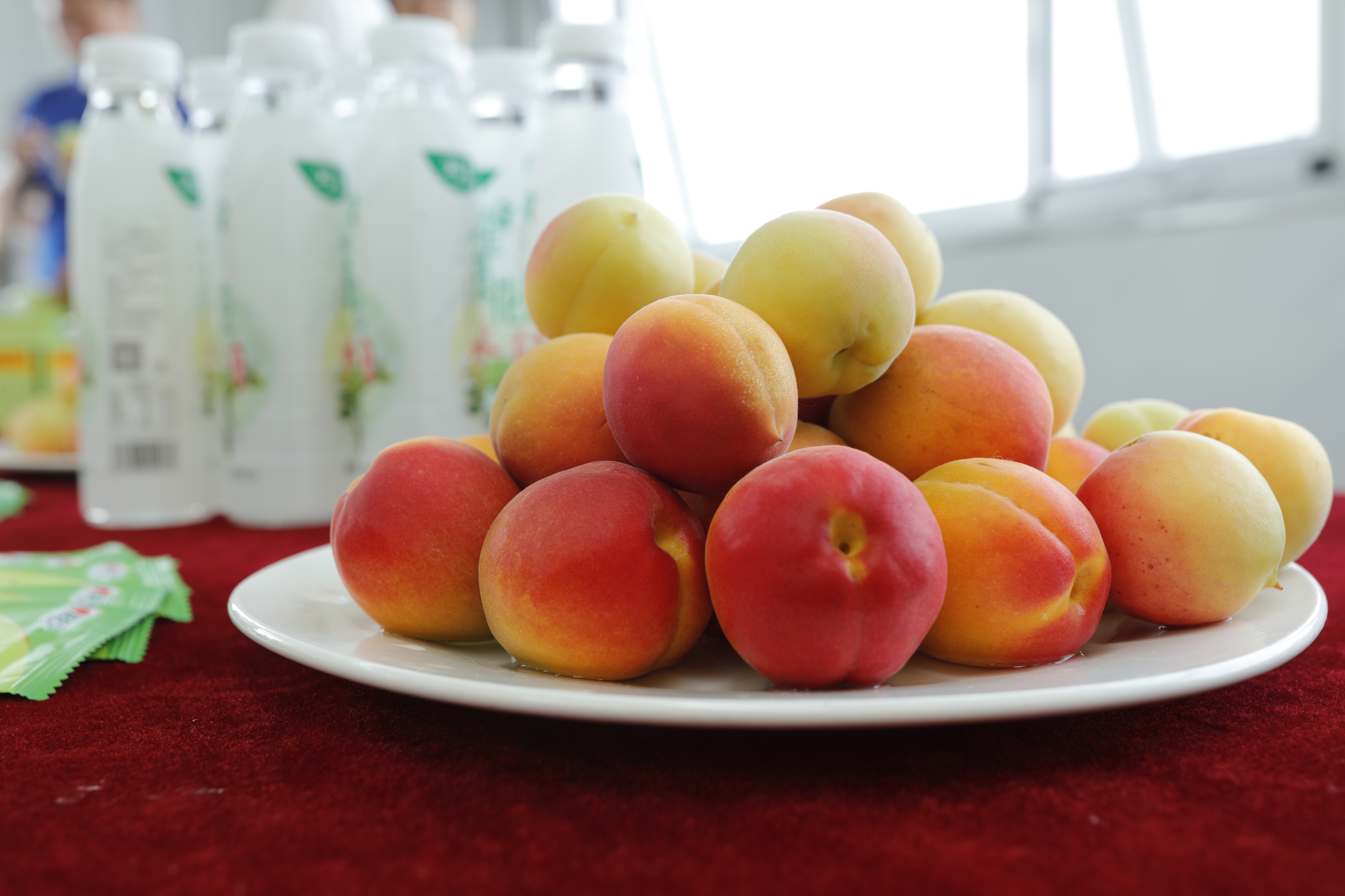 绾㈡潖涔嬩埂,涓浗绾㈡潖涔嬩埂