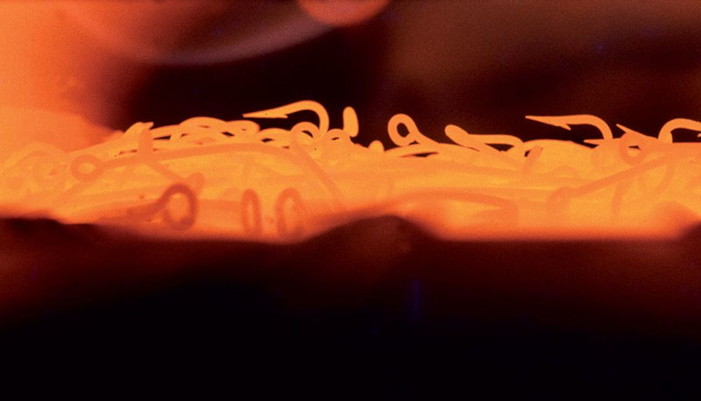 揭穿钓鱼的骗局,鱼钩魔术揭秘教程视频