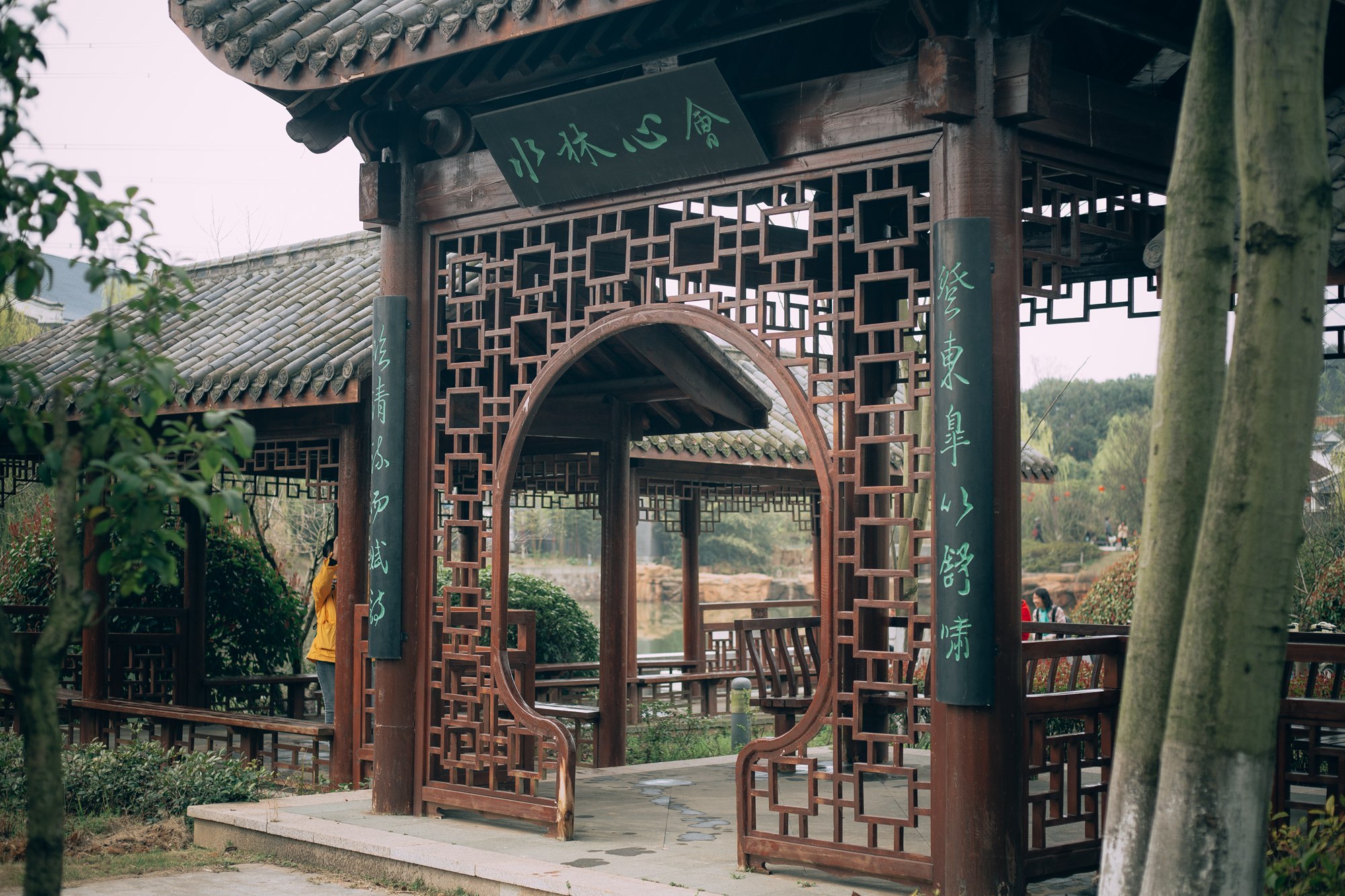 今日春分,武汉这时候不仅有樱花,这里的花随风一吹人都酥了