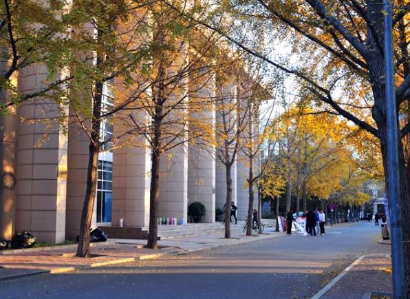 北京化工大学的双一流专业有哪些,北京化工大学的王牌专业