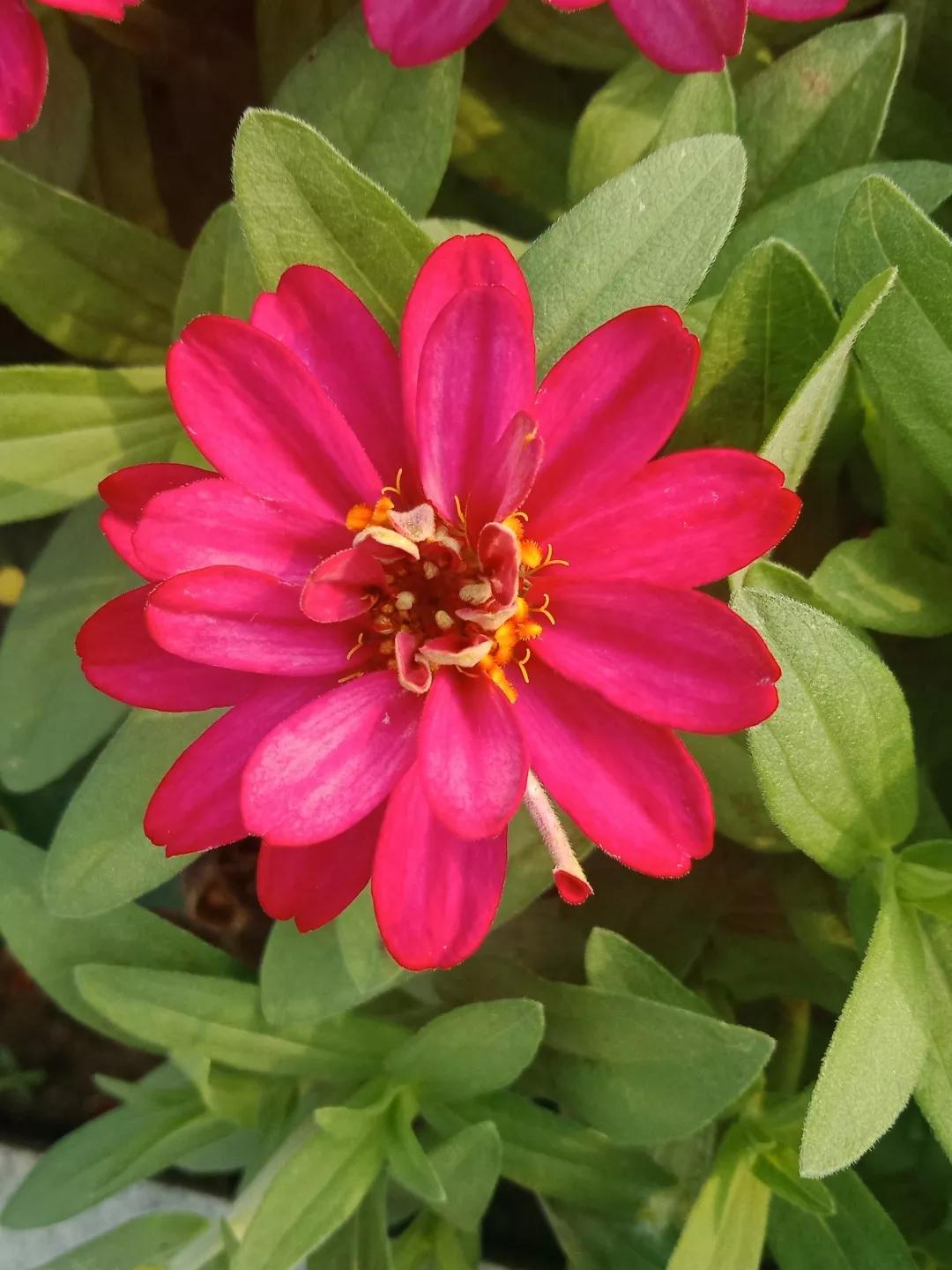 人睡着后不盖被子会着凉吗,人睡觉时为什么要枕枕头