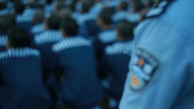 244、114、727、3624……