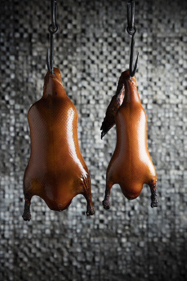 皇家加勒比邮轮2024年中国计划,今年的出游计划还没定