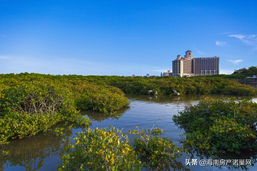 到海南买二手房,澄迈富力红树湾怎么去