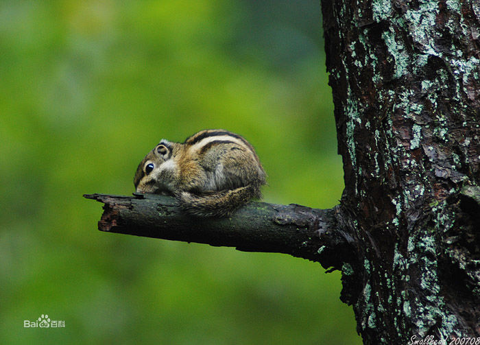 新疆自然资源十四五规划,新疆自然资源大全