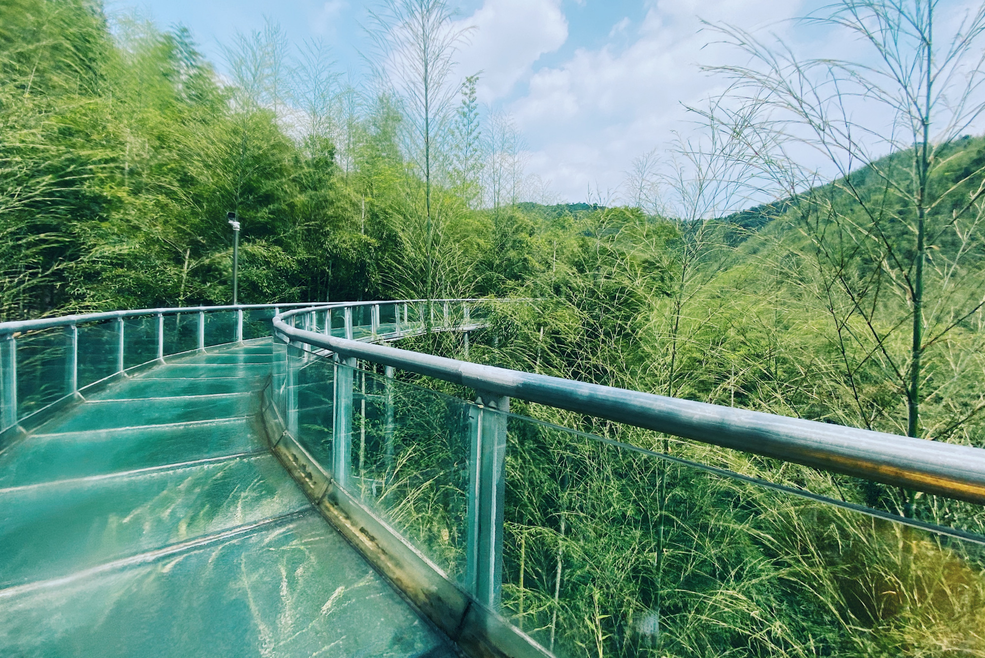 安吉刺激有趣的玻璃漂流，藏在万亩竹海中，堪比过山车般的体验