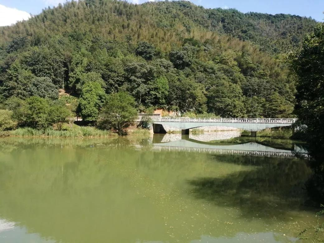 婺源旅游北线攻略,江西婺源自由行二日游攻略