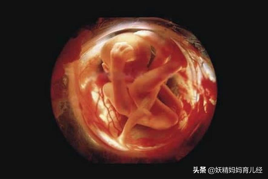 宝宝在妈妈肚子里发育过程图卡通,宝宝在妈妈肚子生长图