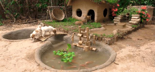 小哥哥徒手建房子,小伙为流浪狗打造温馨的城堡