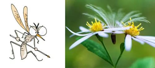 蚊香会杀死猫吗,蚊香会熏坏宠物吗