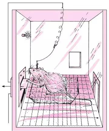 *禁品违**Rush将在澳大利亚当作处方药？什么情况