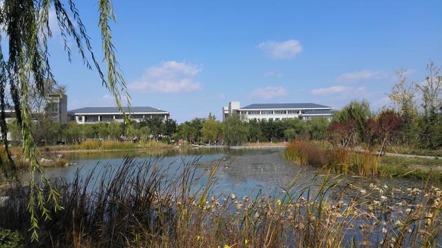 山东有一所毕业生90%能当公务员的大学，名气不大，就业率很高