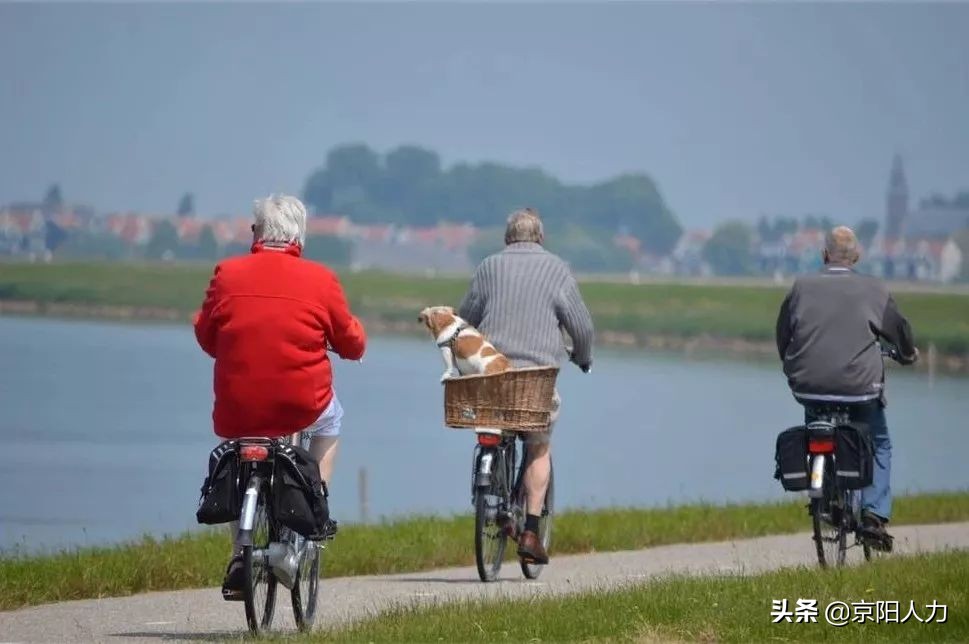 中国人口14亿其中老龄人口有多少,中国人口老龄化趋势什么时候下降