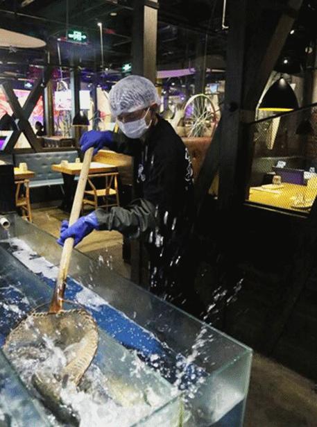 冬日的烤鱼最有味,滋滋烤鱼