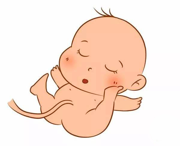 心脏中心科普,中心医院心脏超声科