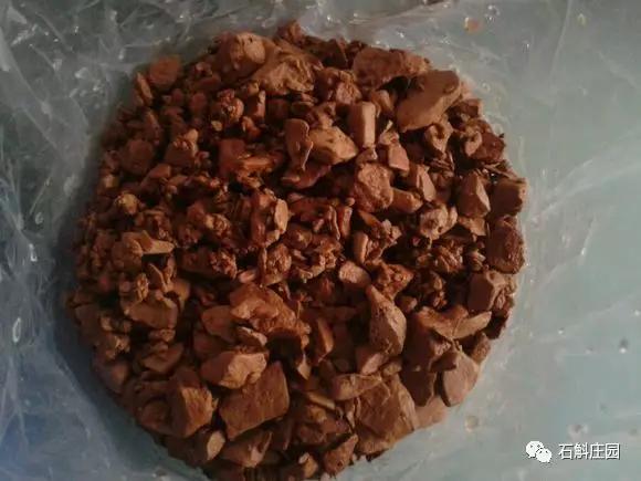 种植石斛兰的正确方法,石斛兰如何种植长得好看