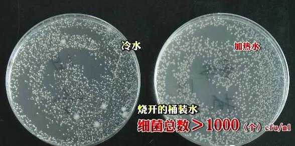 纯净水细菌总数标准,纯净水细菌含量高吗
